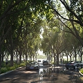 Modern Road Forest Road 3d model