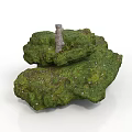 Moss Covered Rock Formation with Gray Stone Pillar as Natural Scenery Component