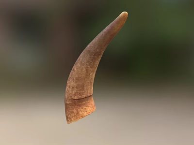 Game Movie Character Horn Prop With Detailed Brown Textured Surface 3d model