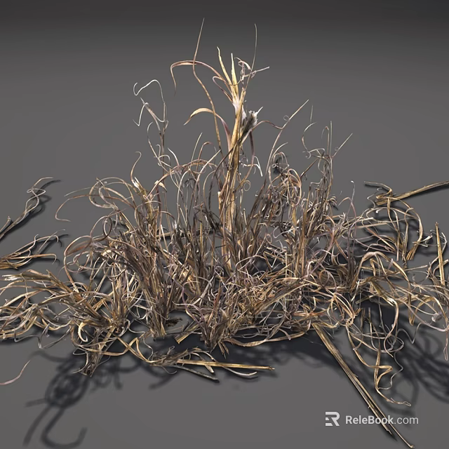 Dried Grass With Slender Curly Leaves And Brownish Yellow Natural Texture 3d model 