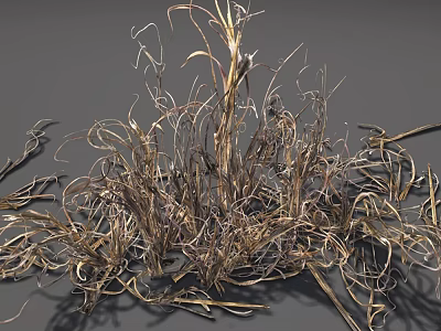 Dried Grass With Slender Curly Leaves And Brownish Yellow Natural Texture 3d model
