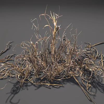Dried Grass With Slender Curly Leaves And Brownish Yellow Natural Texture 3d model