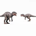 Two Gray Dinosaurs Standing And Facing Each Other On White Background 3d model