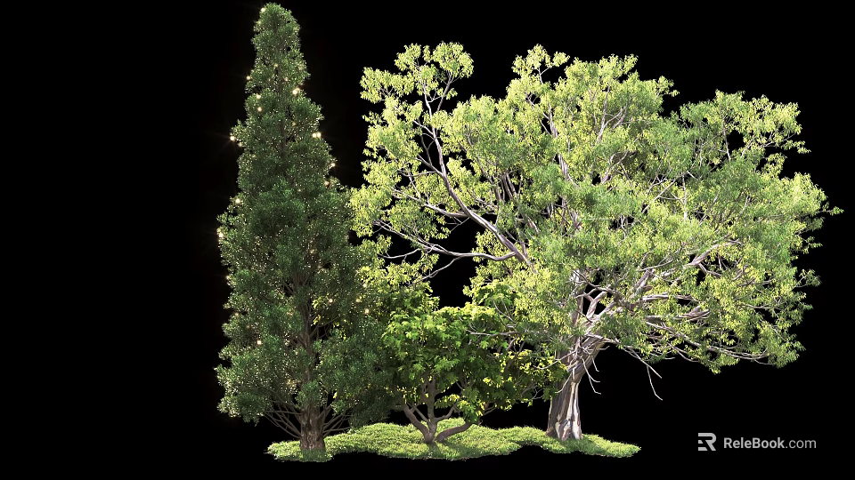 Tall Lush Arbor Trees With Green Foliage In Outdoor Landscape Setting 3d model 
