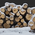 A pile of wood winter firewood trees outdoor scanning 3d model