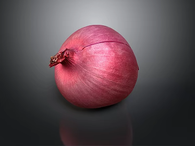 Vibrant Red Onion With Fresh Purple Skin For Healthy Cooking Recipes 3d model