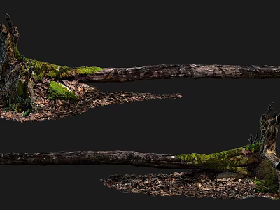 Rustic Natural Stone Wood Logs With Green Moss Soil And Fallen Leaves 3d model