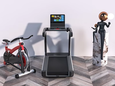 Sports Equipment For Indoor Home Gym Featuring Treadmill And Exercise Bike 3d model