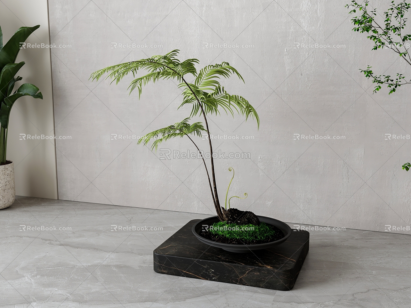 New Chinese Green Plant Bonsai 3d model