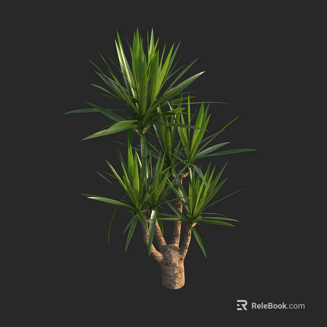 Green Shrub with Lush Long Leaves and Brown Trunk on Black Background 3d model 