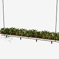 Modern Hanging Chandelier With Long Linear Shelf And Multiple Green Plants 3d model