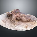 Handcrafted Wooden Decorative Sculpture on Natural Stone Base with Artistic Texture and Detailed Design