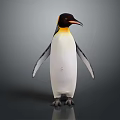 Standing Penguin with Black and White Body and Yellow Head Patch Against Gray Background