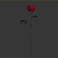 Vibrant Red Rose Flower With Green Stem And Leaves On Gray Background