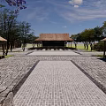 Traditional Thatched Roof Buildings With Stone Paved Courtyard And Purple Trees