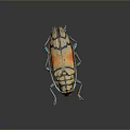 Vibrant Colored Beetle With Orange Yellow Stripes Blue Legs And Intricate Patterns
