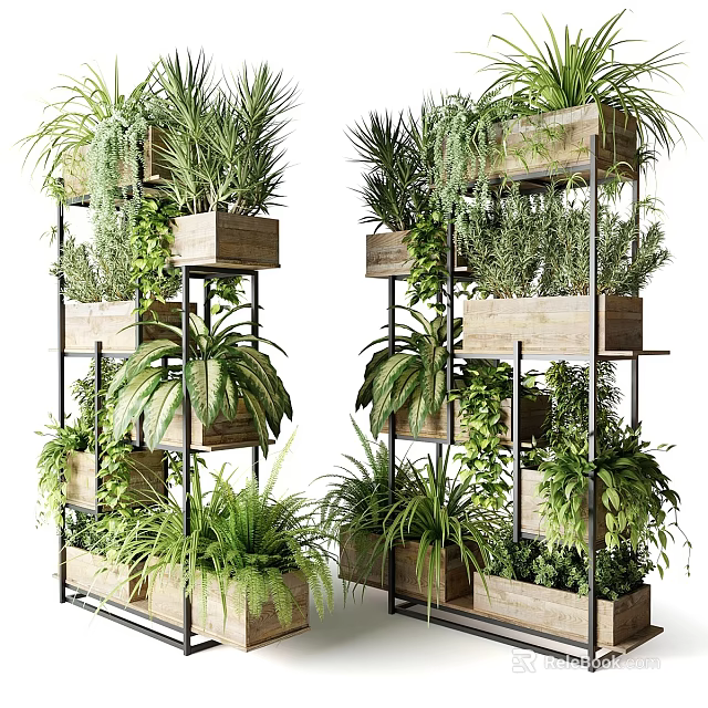 Potted Plants Display On Multi tiered Wooden And Metal Stands With Various Green Indoor Plants 3d model 