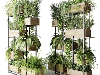 Potted Plants Display On Multi tiered Wooden And Metal Stands With Various Green Indoor Plants 3d model