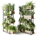 Potted Plants Display On Multi tiered Wooden And Metal Stands With Various Green Indoor Plants