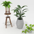 Indoor Decorative Plants with Lush Green Leaves in Wooden Stand and Concrete Pots