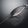Narwhal Marine Creature With Long Golden Tusk Gray Body And White Underbelly In Dark Setting