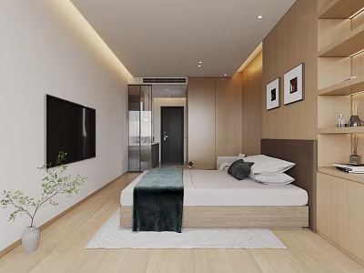 Modern Hotel Guest Room Interior With Wooden Shelves TV Bed Plant And Lighting 3d model