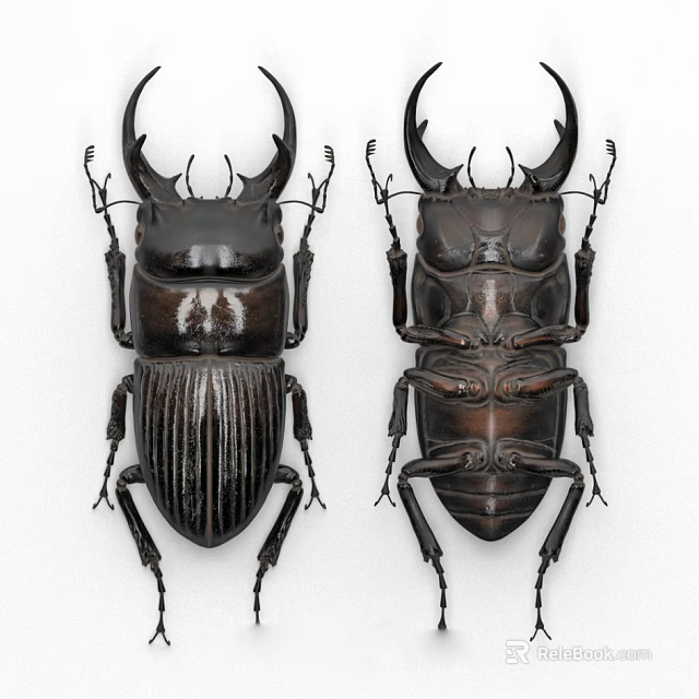 Flying Animals Stag Beetles With Large Mandibles And Shiny Exoskeleton Detailed 3d model 