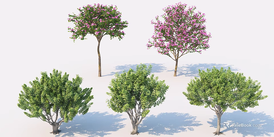 Various Arbor Trees With Pink Flowers And Green Foliage For Garden Landscaping 3d model 