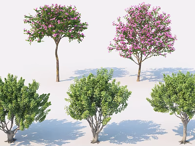 Various Arbor Trees With Pink Flowers And Green Foliage For Garden Landscaping 3d model