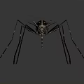 Detailed Mosquito With Long Thin Legs Transparent Wings And Striped Body 3d model