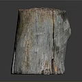 Natural Wooden Stump Planter With Green Plant Growth And Rustic Texture