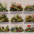 Colorful Flower and Plant Combinations for Garden Landscape Design with Diverse Species