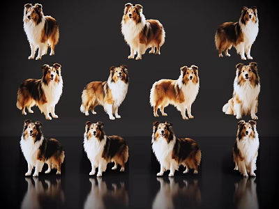 Different Poses of Reptiles on Black Background with Clear Reflections 3d model