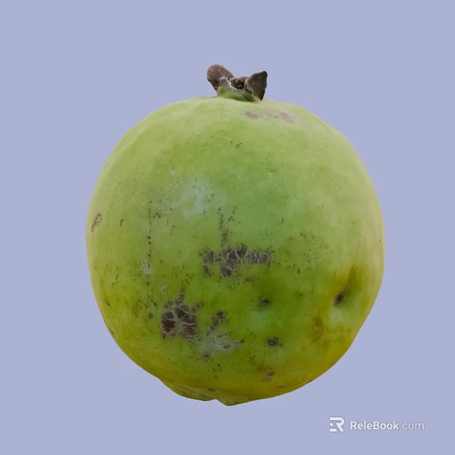 Fresh Green Guava Fruit with Brown Spots and Small Stem on Top 3d model 