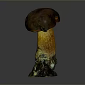 Mushroom Organ And Hair Structure With Brown Cap Yellow Stem And Soil Base