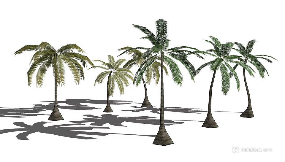 Tall Palm Trees With Green Fronds And Brown Trunks In Sunlight 3d model 