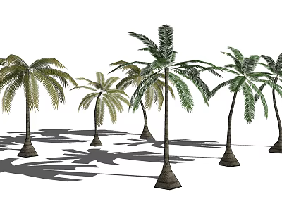 Tall Palm Trees With Green Fronds And Brown Trunks In Sunlight 3d model