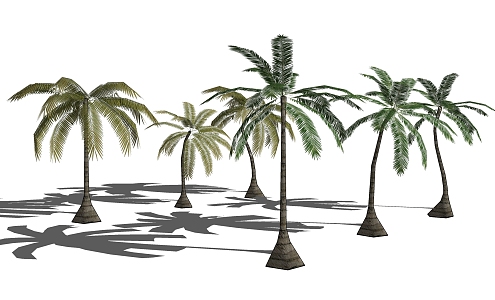 Coconut Tree 3d model