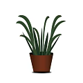 Fresh Green Leaf Potted Plant with Long Leaves in Brown Clay Pot for Home Decor