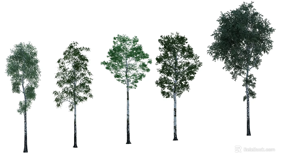 Various Arbor Trees With Green Foliage And Straight Trunks In Different Sizes 3d model