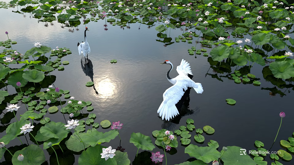 Vibrant Aquatic Plants With Lily Pads Lotus Flowers And White Cranes On Calm Water 3d model 