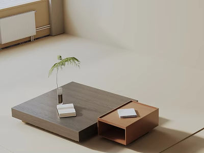 Modern Living Room Sofa Coffee Table Set With Gray Brown Tables Potted Plant And Books 3d model