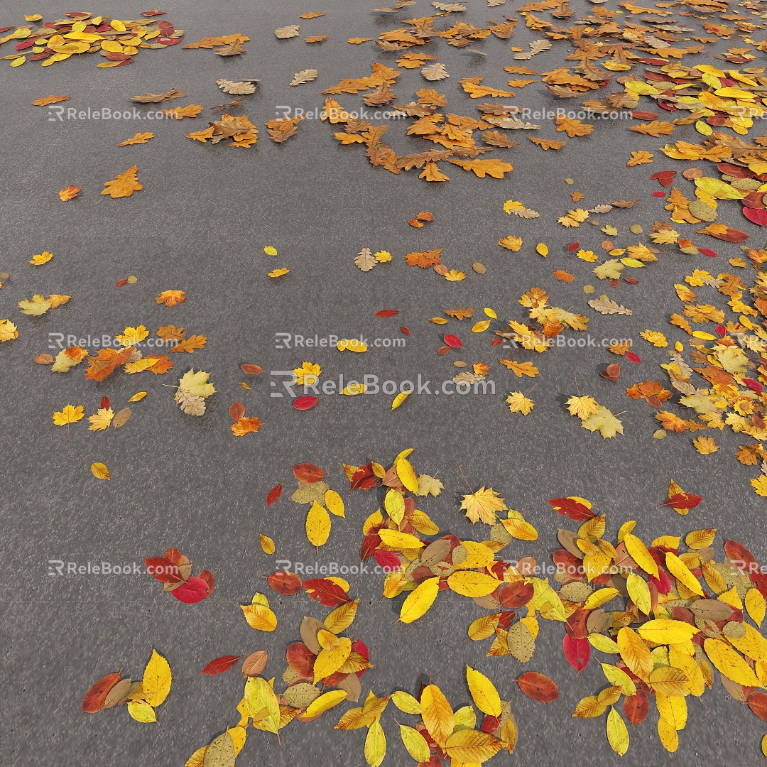 deciduous leaf plant leaves ground leaves 3d model