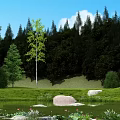 Lush Garden Landscape With Green Grass Large Rocks And Tall Trees Under Blue Sky