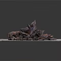 Natural Dried Brown Plant Pods Arranged On Wooden Cutting Board