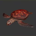 Turtle Cartoon Turtle Snapping Turtle Chickbill Turtle Reptile Cold Blooded Animal Reptile Class 3d model