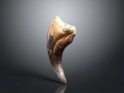 Ancient Organ Fossil Featuring Natural Brown And Beige Textured Surface 3d model