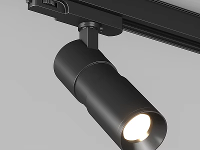 Black Track Spotlight On Ceiling Rail With Bright Light Beam For Modern Interior Lighting 3d model