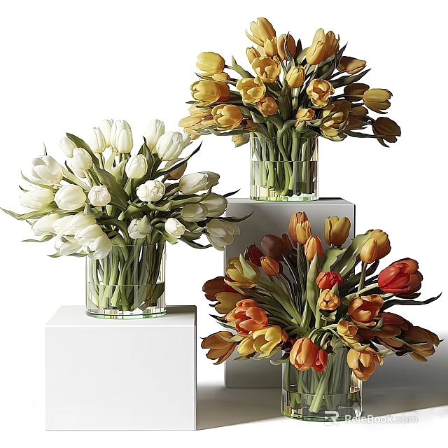 Colorful Tulips in Glass Vases Placed on White Cubes for Home Decor 3d model 