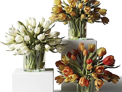 Colorful Tulips in Glass Vases Placed on White Cubes for Home Decor 3d model